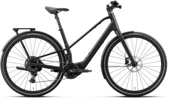 carpe 20
