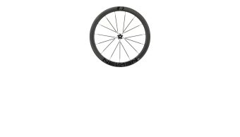 roue avant streem allround vonoa a.49 disc centerlock tubeless pp12/100mm