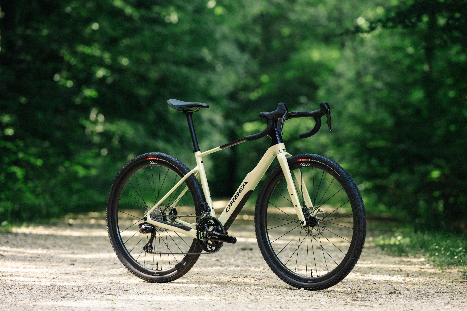 Gravel orbea check terra